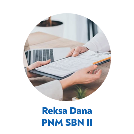 Produkt SBN II Produkt SBN II