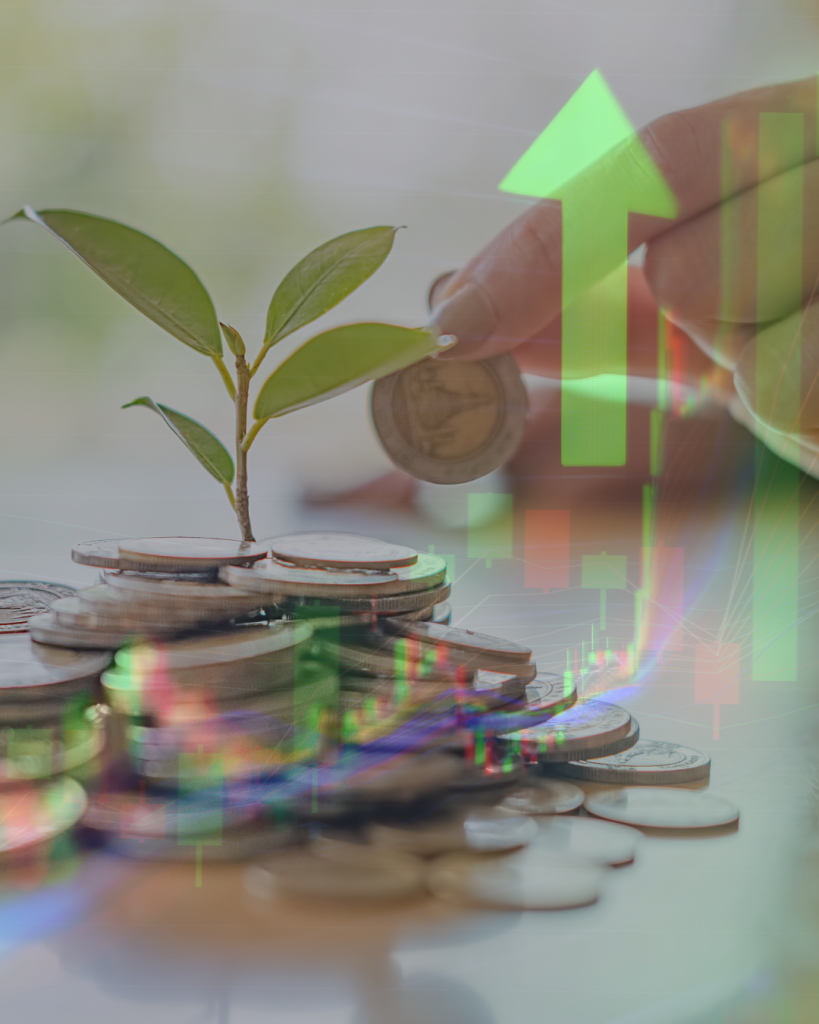 Untitled design - 2023-05-26T154224.892