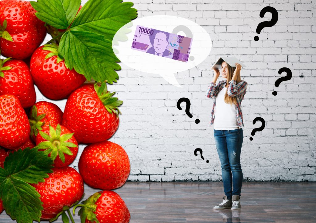 desvdve Strawberry Generation Pengelolaan Keuangan